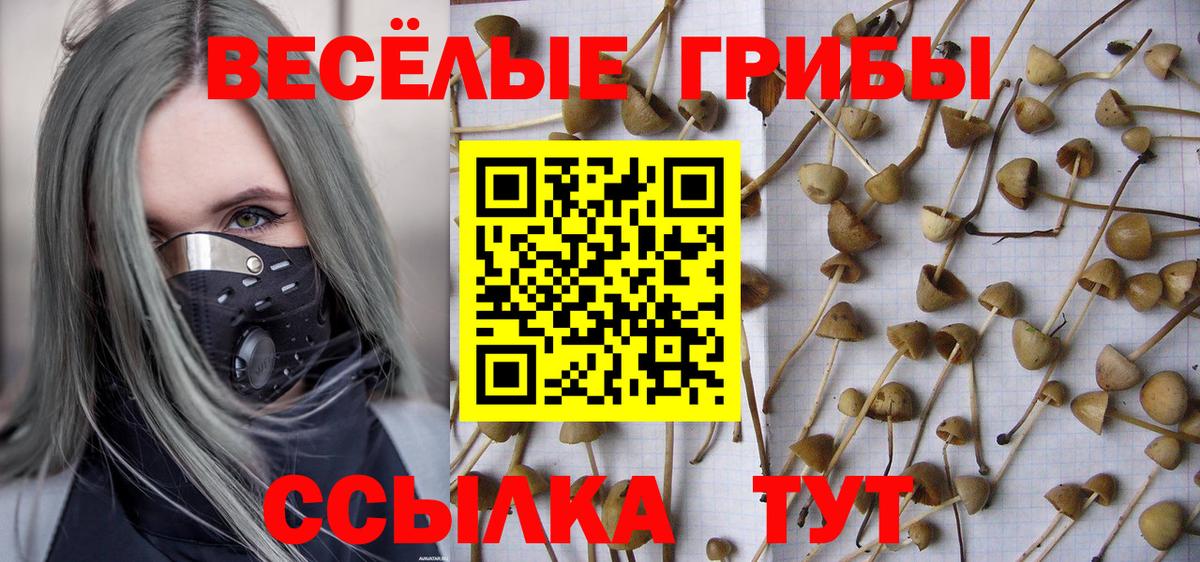 Галлюциногенные грибы Cubensis  хочу наркоту  Магадан  Псилоцибиновые грибы мицелий  Вход с VPN 